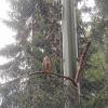 vogelpark uhu