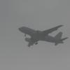 LZ-FBB