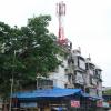 Cell phone antenna
