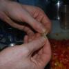 Cardamon Seed
