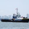 Harbour Tug Smit Jaguar