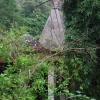 Temple in Sanjay Gandhi National Park