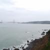 Golden Gate Bridge from Lincoln Park